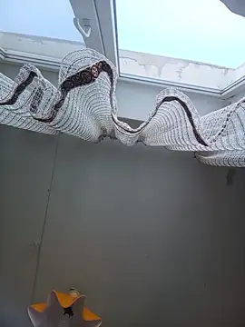 Lauren Amabel online show from February 22, 8:24 am