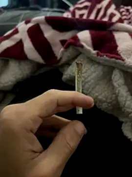 Snapshot of BCFZD chatting on December 4, 3:27 am BCFZD online show from December 4, 3:27 am