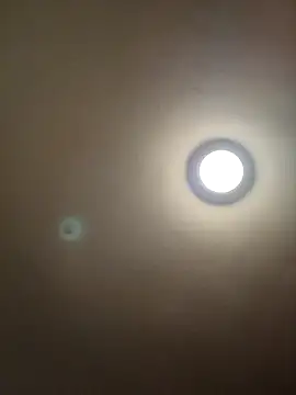 MrDaddyBbSnake online show from January 18, 2:25 am