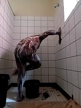 Dube501 online show from April 26, 10:46 am