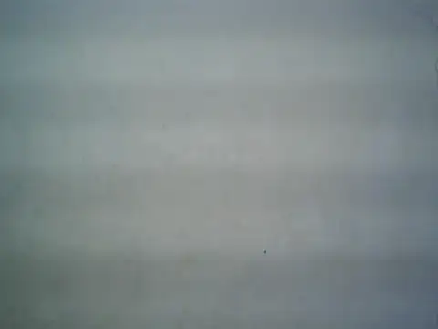 michel1520 online show from July 16, 11:27 am
