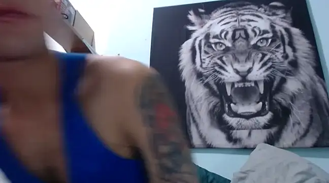 Snapshot of dany_hardy chatting on February 4, 4:15 am dany hardy online show from February 4, 4:15 am