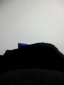 CHARLOTTE 1711 online show from October 11, 3:39 am