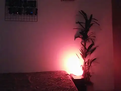 lollaxjf online show from May 31, 4:09 am