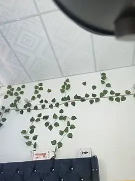 miaa--pervert online show from January 15, 1:20 pm