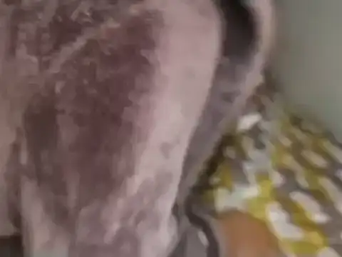 Snapshot of Chandy012 chatting on September 19, 1:12 pm Chandy012 online show from September 19, 1:12 pm