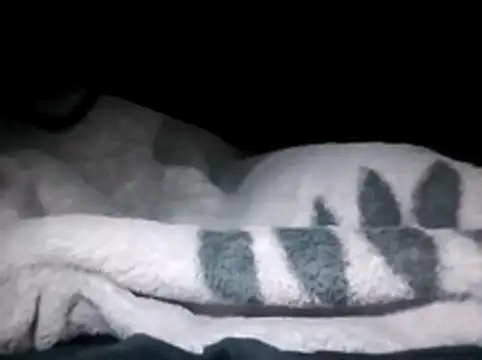 LaneYam online show from March 28, 12:32 am