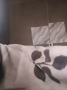 LaneYam online show from April 9, 5:51 am