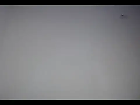 lana roman online show from March 4, 12:22 pm