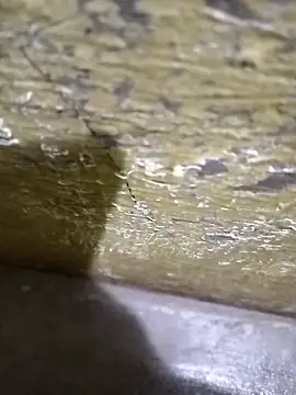 Snapshot of Southindian6996 chatting on February 26, 4:24 pm Southindian6996 online show from February 26, 4:24 pm