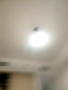 SexySophiaax online show from October 20, 1:00 pm