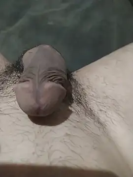 Snapshot of marcello69sexo chatting on December 4, 3:05 am marcello69sexo online show from December 4, 3:05 am