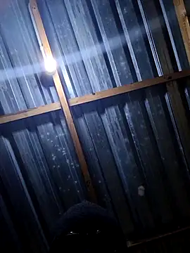 Snapshot of T9nybh3ksta66 chatting on February 27, 3:17 am T9nybh3ksta66 online show from February 27, 3:17 am