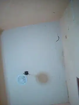 LuisMex1998 online show from November 14, 2:21 am