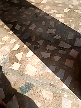 Raj41 online show from November 13, 4:44 am