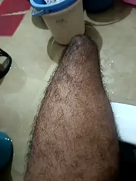 Royyy dandol online show from January 21, 2:43 am