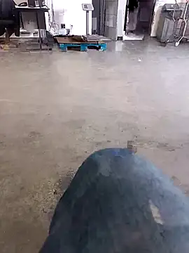 Snapshot of Trixboy201 chatting on September 29, 7:19 pm Trixboy201 online show from September 29, 7:19 pm