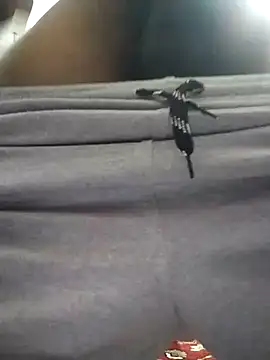 knightwolf9935 online show from January 30, 12:48 pm