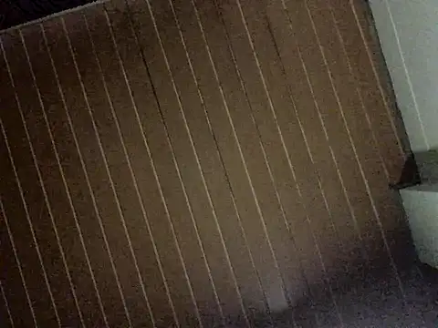 Snapshot of Nooneisthis chatting on December 3, 6:32 am Nooneisthis online show from December 3, 6:32 am