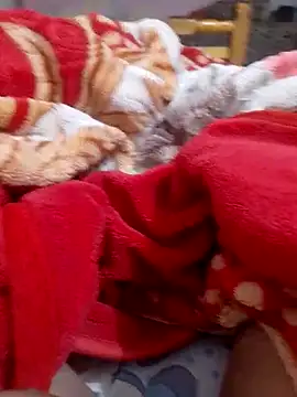 Snapshot of mhmia chatting on February 6, 1:16 am mhmia online show from February 6, 1:16 am