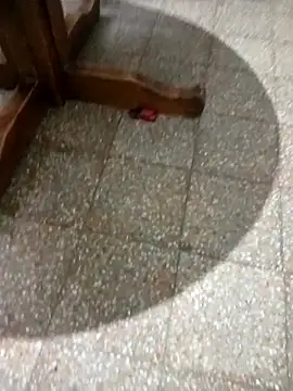 Snapshot of parejarica420 chatting on March 6, 8:38 pm parejarica420 online show from March 6, 8:38 pm