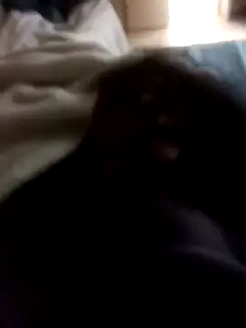 Sbu gold online show from January 12, 7:24 am