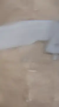 Snapshot of laxmitelugu78 chatting on February 2, 7:25 pm laxmitelugu78 online show from February 2, 7:25 pm