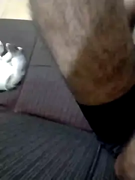 DOMINADOR5 online show from February 9, 12:49 am