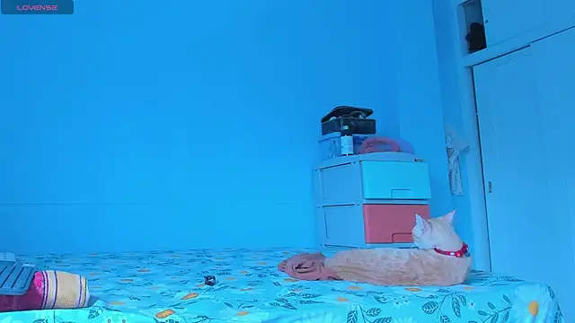 alice guzman1 online show from April 29, 5:17 pm