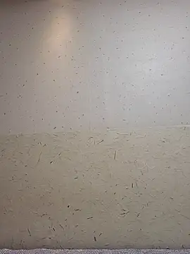 Tyyyggjju online show from October 20, 7:03 pm