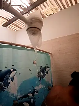 Zaira Rose  online show from February 24, 1:09 pm