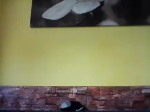 Snapshot of sexy_lady2 chatting on February 17, 10:07 am sexy lady2 online show from February 17, 10:07 am