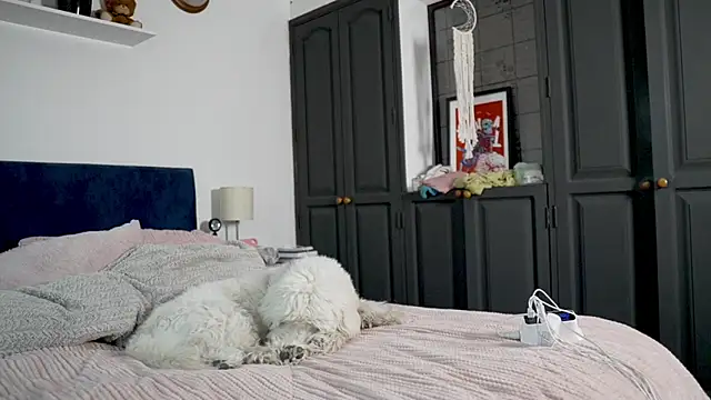 tattoo ninja kittyy online show from October 16, 8:21 pm