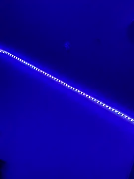 DaniJohnson online show from February 7, 3:19 pm