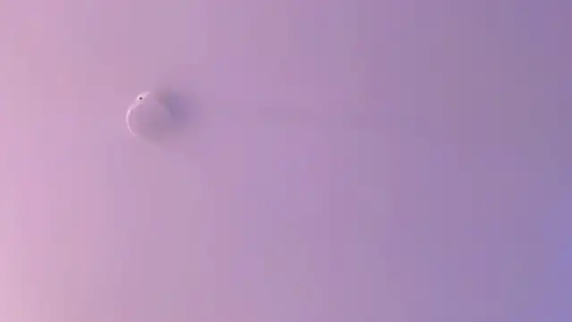 leahaltomm online show from April 18, 2:26 am