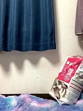 Snapshot of PINO_pino_01 chatting on November 24, 5:45 pm PINO pino 01 online show from November 24, 5:45 pm