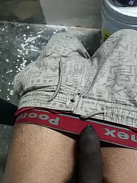 Snapshot of omni_333 chatting on February 4, 1:17 pm omni 333 online show from February 4, 1:17 pm