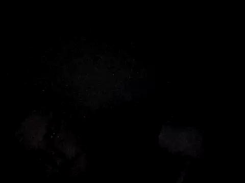 Snapshot of Foxtrott_242 chatting on September 8, 11:48 pm Foxtrott 242 online show from September 8, 11:48 pm