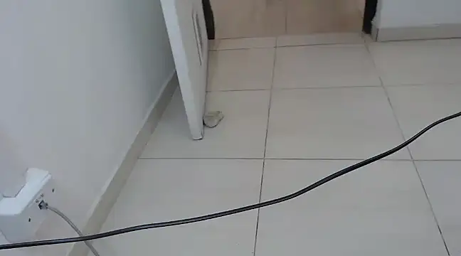 StormyWets Bluk online show from March 11, 7:36 pm