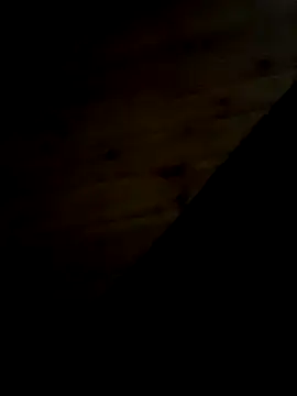 Arabian online show from February 11, 9:46 pm