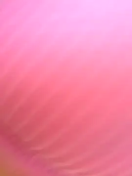 Dulce  Boyd online show from November 11, 1:44 pm