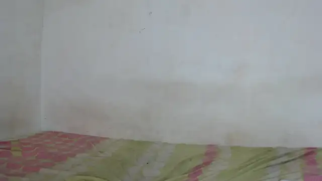 Snapshot of Majo_BigTits chatting on November 30, 8:13 pm Majo BigTits online show from November 30, 8:13 pm