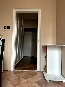 Budibudi5 online show from November 27, 9:11 am