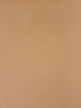 Snapshot of Bigdicklove42x chatting on January 15, 4:50 am Bigdicklove42x online show from January 15, 4:50 am