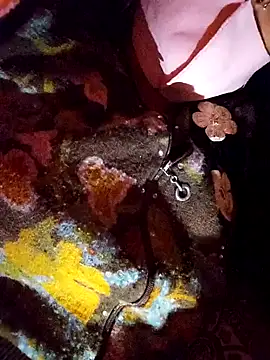 PPP 25 online show from November 14, 1:54 pm