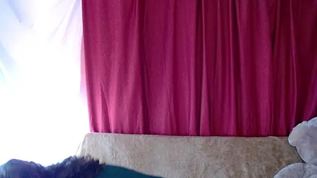 Snapshot of morahaze chatting on November 9, 5:11 pm morahaze online show from November 9, 5:11 pm