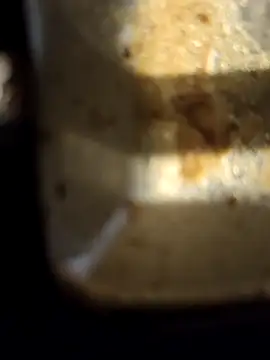 Snapshot of Loly2025 chatting on February 20, 2:35 pm Loly2025 online show from February 20, 2:35 pm