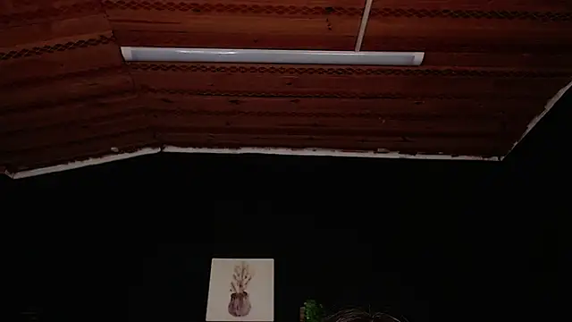 Snapshot of fyreandfox_ chatting on November 18, 6:56 pm fyreandfox online show from November 18, 6:56 pm