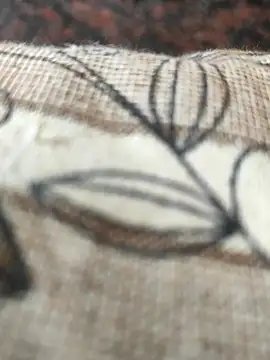 Snapshot of cocktony chatting on March 2, 9:21 am cocktony online show from March 2, 9:21 am