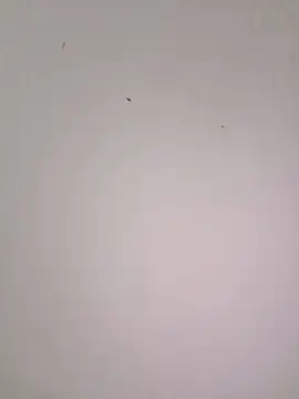 Snapshot of EmmaSulivan chatting on February 21, 11:11 am EmmaSulivan online show from February 21, 11:11 am